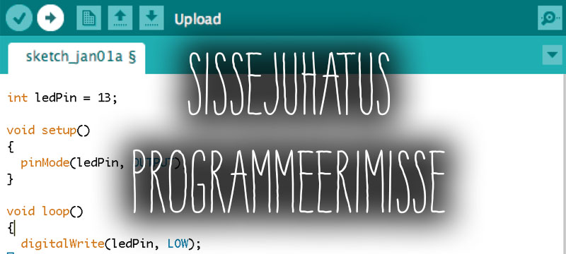 Sissejuhatus programmeerimisse